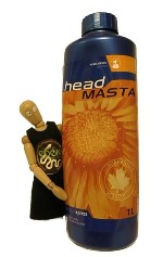 HEAD MASTA by Canadian Xpress